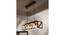 Symmetric Centrum Brown Solid Wood Cluster Hanging Light (Brown) by Urban Ladder - - 