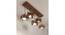 Star 5 Series Brown Solid Wood Cluster Hanging Light (Brown) by Urban Ladder - - 