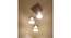Propel Brown Solid Wood Cluster Hanging Light (Brown) by Urban Ladder - - 