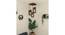 Gyro Brown Solid Wood Cluster Hanging Light (Brown) by Urban Ladder - - 