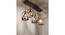 Symmetric 5 Series Brown Solid Wood Cluster Hanging Light (Brown) by Urban Ladder - - 