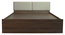 sutra Engwitheered Wood Bed with Walnut Fwithish (Walnut Finish, Queen Bed Size, Box Storage Type) by Urban Ladder - - 