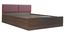 viveka Engwitheered Wood Bed gi Walnut Fwithish (Walnut Finish, Queen Bed Size, Box Storage Type) by Urban Ladder - - 