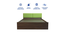 nadi Engwitheered Wood Bed ne Walnut Fwithish (Walnut Finish, Queen Bed Size, Box Storage Type) by Urban Ladder - - 
