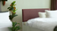 prana Engwitheered Wood Bed with White Fwithish (Queen Bed Size, White Finish, Box Storage Type) by Urban Ladder - - 