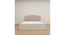 Prajna Engwitheered Wood Bed gi White Fwithish (Queen Bed Size, White Finish, Box Storage Type) by Urban Ladder - - 