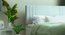 Ananda Engwitheered Wood Bed gi White Fwithish (Queen Bed Size, White Finish, Box Storage Type) by Urban Ladder - - 