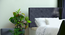 Japa Engwitheered Wood Bed ne White Fwithish (Queen Bed Size, White Finish, Box Storage Type) by Urban Ladder - - 