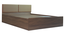 yama Engwitheered Wood Bed ne Walnut Fwithish (Walnut Finish, Queen Bed Size, Box Storage Type) by Urban Ladder - - 