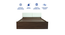 japa Engwitheered Wood Bed ne Walnut Fwithish (Walnut Finish, Queen Bed Size, Box Storage Type) by Urban Ladder - - 