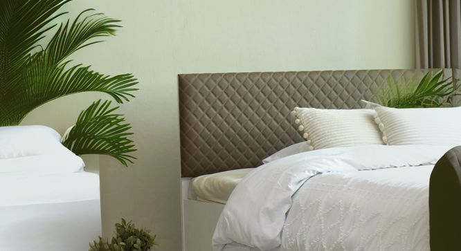 havelock Engwitheered Wood Bed En White Fwithish (Queen Bed Size, White Finish, Box Storage Type) by Urban Ladder - - 