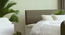 havelock Engwitheered Wood Bed En White Fwithish (Queen Bed Size, White Finish, Box Storage Type) by Urban Ladder - - 