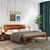 All Beds