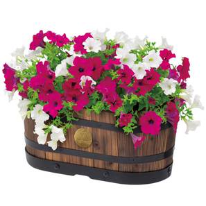 vegtrug Oval Planter Small-picture-13