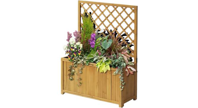 Trellis Box (Brown) by Urban Ladder - - 