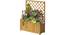 Trellis Box (Brown) by Urban Ladder - - 