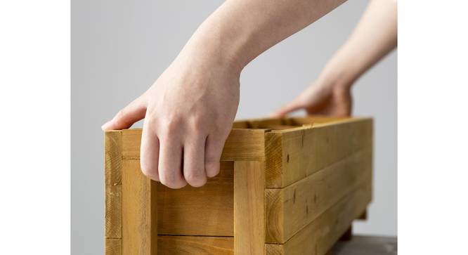 Slim Herb Planter (Brown) by Urban Ladder - - 