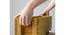 Slim Herb Planter (Brown) by Urban Ladder - - 
