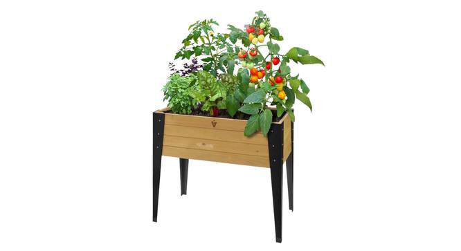 Metal Legs (Brown) by Urban Ladder - - 