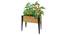 Metal Legs (Brown) by Urban Ladder - - 