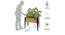 Metal Legs (Brown) by Urban Ladder - - 