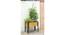 Metal Legs (Brown) by Urban Ladder - - 