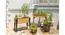 Metal Legs (Brown) by Urban Ladder - - 