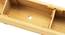Slim Herb Planter (Brown) by Urban Ladder - Dimension - 987147