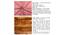 Rosslyn Sheesham Wood Accent Set of 2 Dining Chairs in Coral Pink Velvet Upholstery with TEAK FINISH (Teak Finish, Pink) by Urban Ladder - - 
