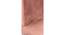 Rosslyn Sheesham Wood Accent Set of 2 Dining Chairs in Coral Pink Velvet Upholstery with TEAK FINISH (Teak Finish, Pink) by Urban Ladder - - 