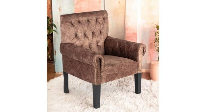 Arista Sheesham Wood Mid Century Lounge Chair (Brown) by Urban Ladder - Dimension - 987932