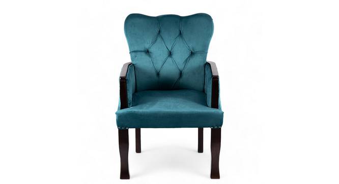 Arista Sheesham Wood Accent  Chair in Turquoise colour (Turquoise) by Urban Ladder - - 