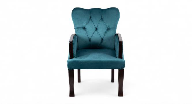Arista Sheesham Wood Accent Chair Set of 2 in Turquoise (Turquoise) by Urban Ladder - - 