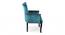 Arista Sheesham Wood Accent Chair Set of 2 in Turquoise (Turquoise) by Urban Ladder - - 