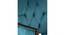 Arista Sheesham Wood Accent Chair Set of 2 in Turquoise (Turquoise) by Urban Ladder - - 