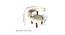Westfield Sheesham Wood Mid Century Lounge Chair in Off White (Off White) by Urban Ladder - Dimension - 988001