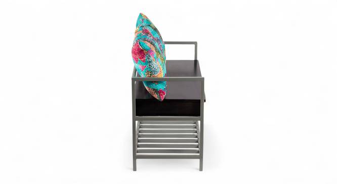 Kerdley Metal Accent 2 Seater Couch / Bench with stroage & (Black Finish) by Urban Ladder - - 