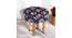 Roswell Sheesham Wood Parisian Round Stool in Blue Jacquard Work Fabric Upholstery (Blue) by Urban Ladder - - 