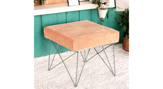 Asansol Sheesham Wood Accent Square Stool with Metal Legs in Melon Pink Cotton Velvet Upholstery (Pink) by Urban Ladder - - 
