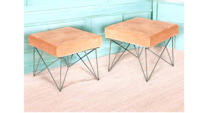 Asansol Sheesham Wood Accent Square Set of 2 Stools with Metal Legs in Melon Pink Cotton Velvet Upholstery (Pink) by Urban Ladder - - 
