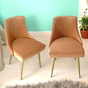 ikiriya Rosslyn Solid Wood Dining Chair set of 2 in Gold Finish-picture-36