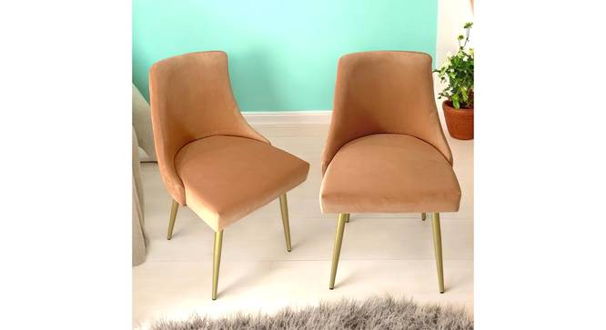 Rosslyn Sheesham Wood Accent Set of 2 Dining Chairs in Peach Velvet Upholstery with Metal Legs (Peach, Gold Finish) by Urban Ladder - - 