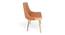 Rosslyn Sheesham Wood Accent Set of 2 Dining Chairs in Peach Velvet Upholstery with Metal Legs (Peach, Gold Finish) by Urban Ladder - - 