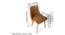 Rosslyn Sheesham Wood Accent Set of 2 Dining Chairs in Peach Velvet Upholstery with Metal Legs (Peach, Gold Finish) by Urban Ladder - - 
