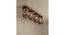 Symmetric Brown Solid Wood Ceiling Light (Brown) by Urban Ladder - Cross View Design 1 - 990004