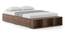 Toshi Platform Compact size Box & drawer storage bed in Classic Walnut (Drawer & Box Storage Type, Classic Walnut Finish, Double Bed Size) by Urban Ladder - Storage Image - 