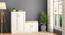 Bennis Shoe Cabinet (With Seating Configuration, Melamine Finish, 25 Pair Capacity) by Urban Ladder - Full View - 991513