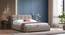 Stanhope Upholestry hydraulic King size bed in Shitake beige Premium Chenille (Queen Bed Size, Hydraulic Storage Type, Shitake Beige Finish) by Urban Ladder - Full View - 991765