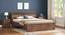 Macy Bedroom (Bed + Bedside Table) (Queen Bed Size, Classic Walnut Finish, Bed + 2 Bedside Table Set) by Urban Ladder - - 