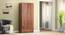 Bocado 2 door Wardrobe in Sheesham Finish (Two Door, Without Mirror, Sheesham Finish) by Urban Ladder - - 994175